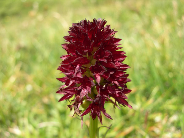 050726_TourLacSilvaplana 004