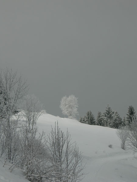 060103_HirmentazEbner 005