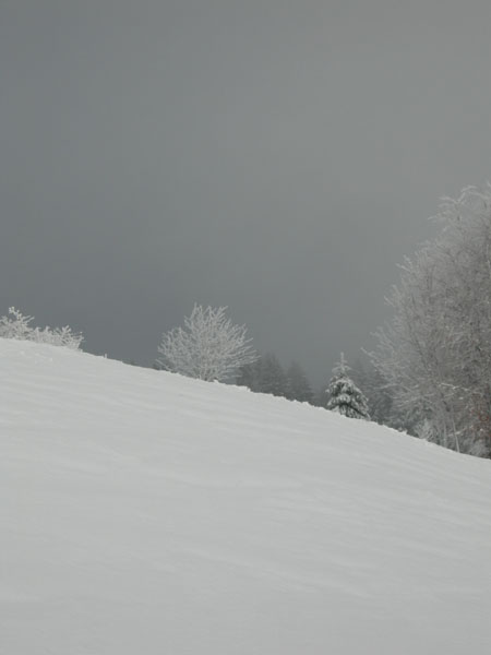 060103_HirmentazEbner 007