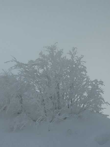 060103_HirmentazEbner 019