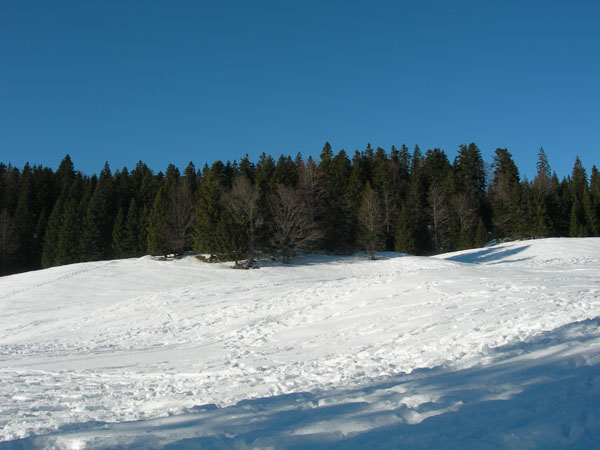 060114_LaGivirine_008