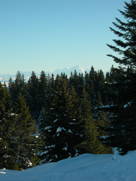 060114_LaGivirine_023