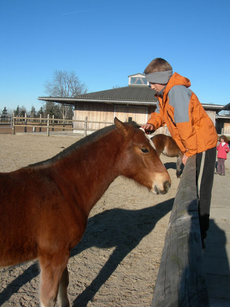 061227_NoelAuxBois 095