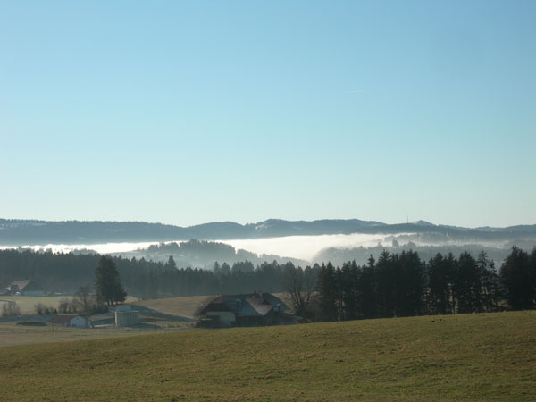 061227_NoelAuxBois 097