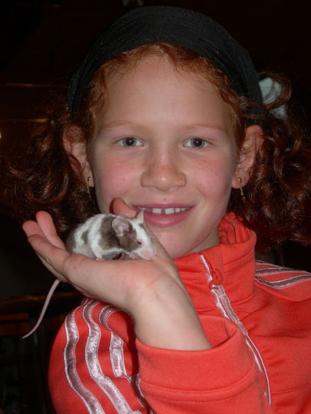 071014_SourisMalePourReproduction 001