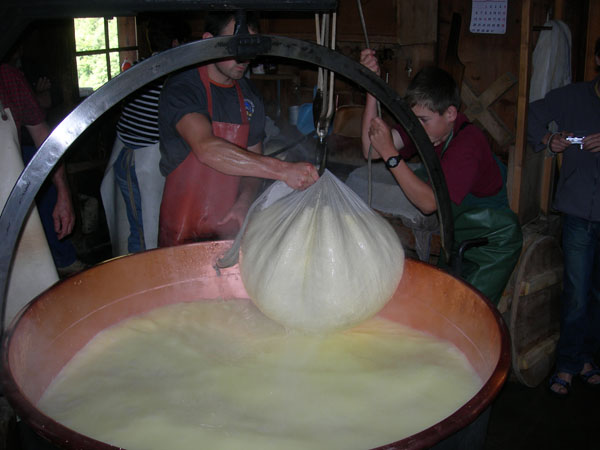 070731_FromagerieAlpage_Wonderveyre 007