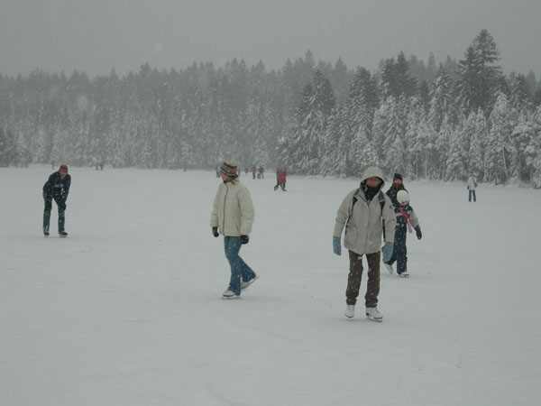 071226_EtangDeGruere_010