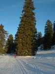 071227_SkiDeFond_020