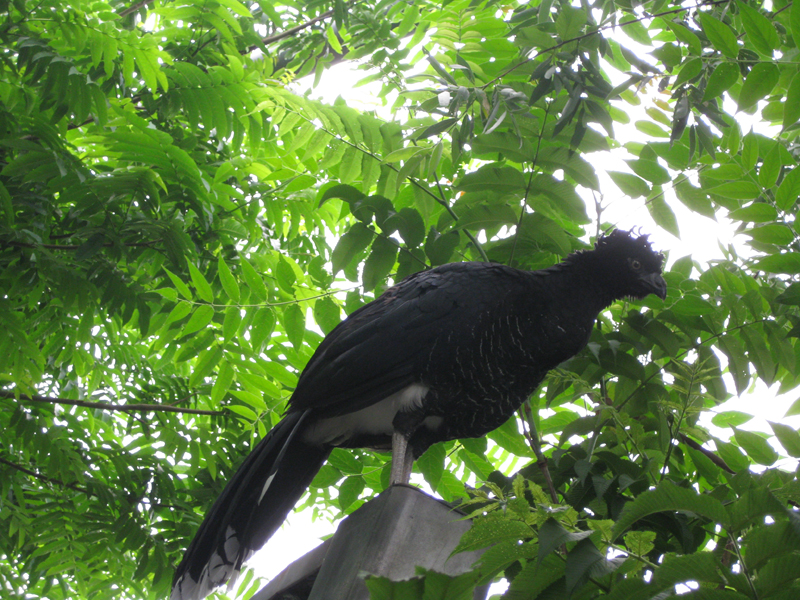 090601_VillarsLesDombes 0029