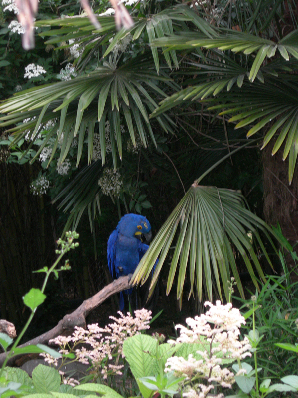 090601_VillarsLesDombes 0032