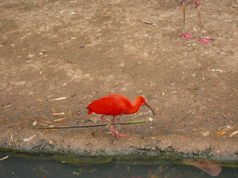 090601_VillarsLesDombes 0037