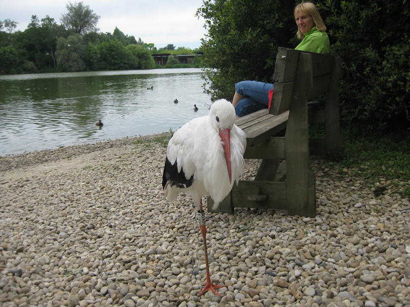 090601_VillarsLesDombes 0165