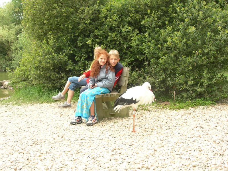 090601_VillarsLesDombes 0166