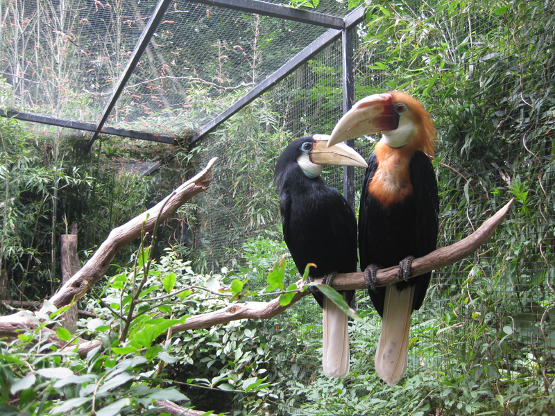 090601_VillarsLesDombes 0169