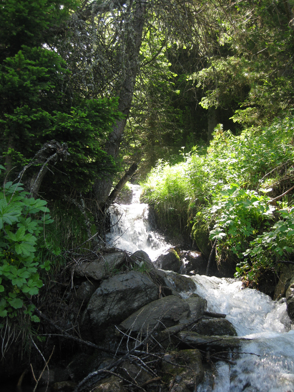 090710_VacancesAAoste 006