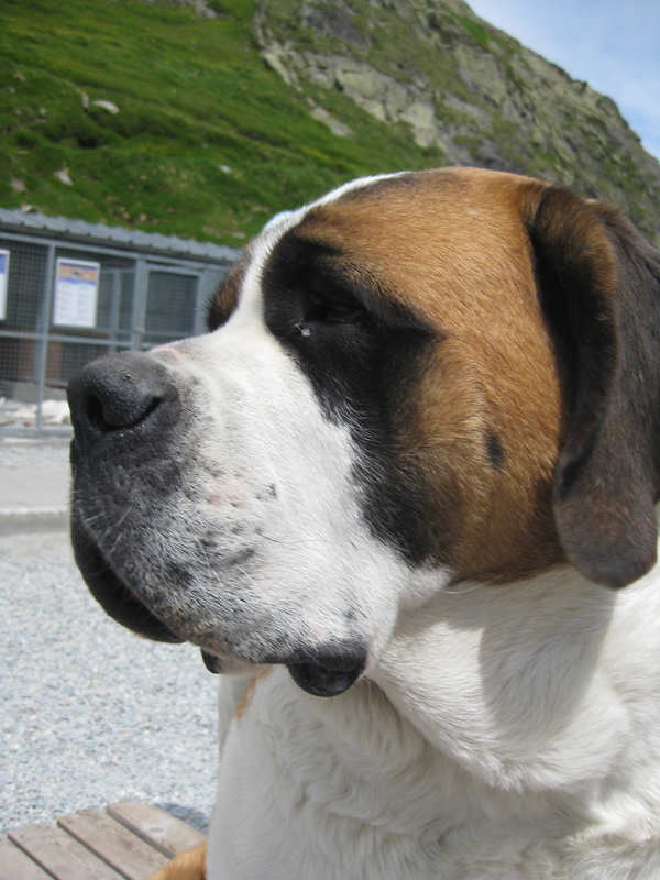 090710_VacancesAAoste 287