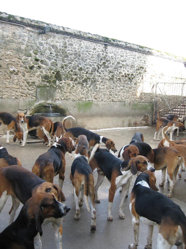 041_ChateauDeCheverny