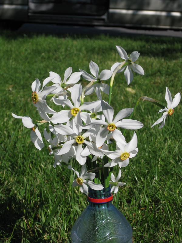 2010_05_23_PléïadesEtRiviera 019