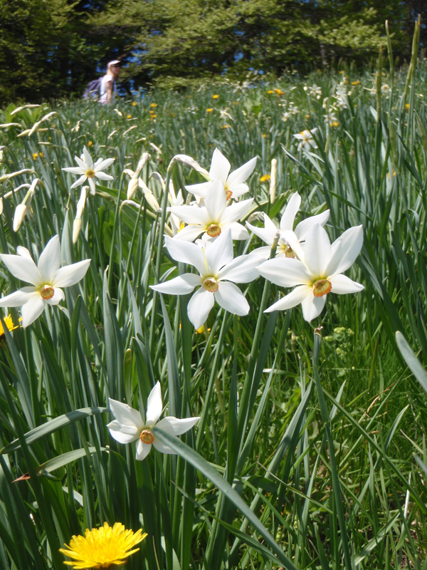 2010_05_23_Pleiades 010