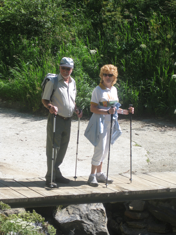 2010_07_19_Fieschertal 011