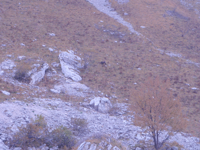 111030_LeReculet 009