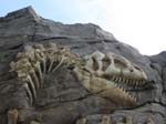 111027_DinoZoo 002
