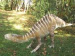 111027_DinoZoo 017