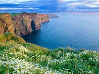 42-26833266  12 Dec 2008, Cliffs Of Moher, Co Clare, Ireland --- Cliffs Of Moher --- Image by © Destinations/Corbis : Natural world, Natural sciences, Cliffs of Moher, Life science, Atlantic Ocean, Beach, Biology, Botany, British Isles, Cliff, Munster, Coast, Coastline, County Clare, Daisy, Daytime, English daisy, Europe, Europe, Europeans, Flower, Idyllic, Ireland, Ireland, Irish, Landscape, Planting, Rock, Rock formation, Scenic, Sciences, Sea, Serenity, Sunflower family, View from above, Water, Water, Waterfront, Weather, Western Europe, Western Europeans, Wildflowers, Ocean, Nobody