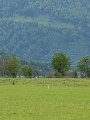 20170520_Kaltbrunn_IMG_0743