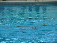 110417 8emeAquacup 002