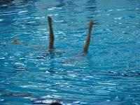 110417 8emeAquacup 006